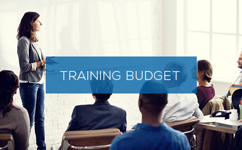 Budget Training